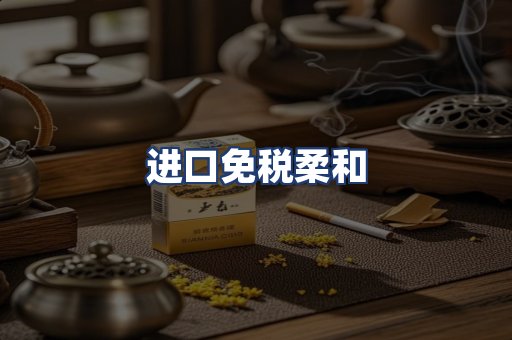 进口免税柔和